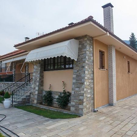 Βίλα Για Όλες Τις Εποχές Του Χρόνου Кожани Екстериор снимка